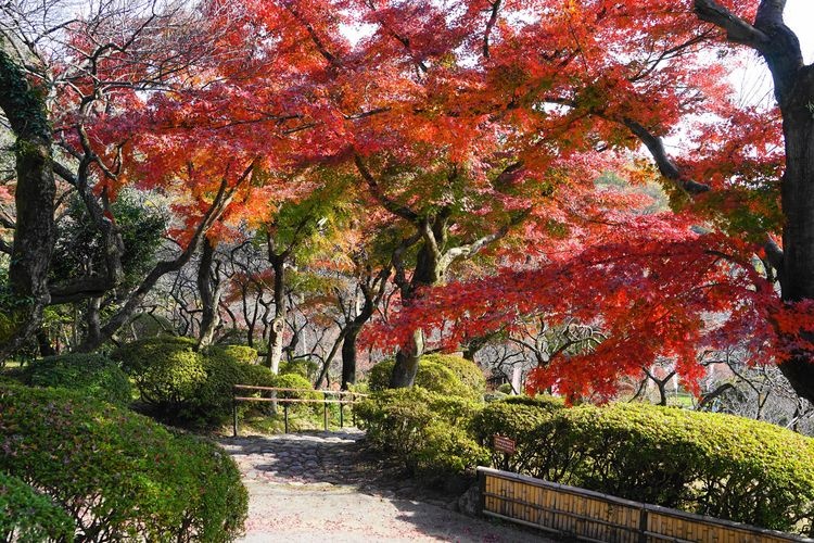 Keio Mogusaen Garden