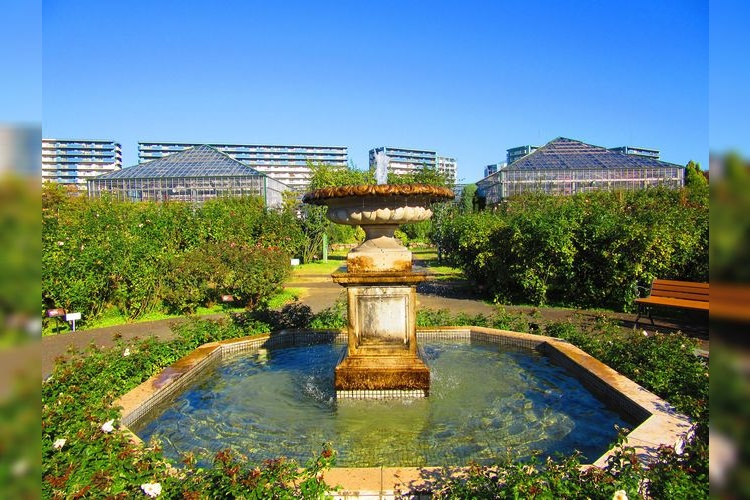 Keisei Rose Garden 2