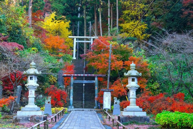 建長寺 (Kenchoji Temple)