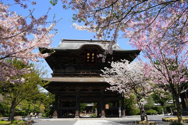 建長寺 (Kenchoji Temple) 3