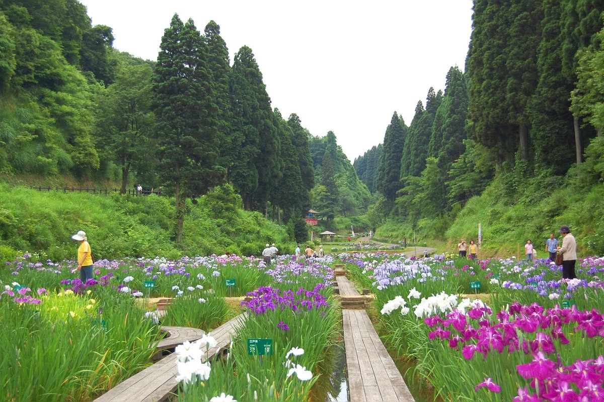 Kenmin Koen Ranjo-no-Mori Forest Park