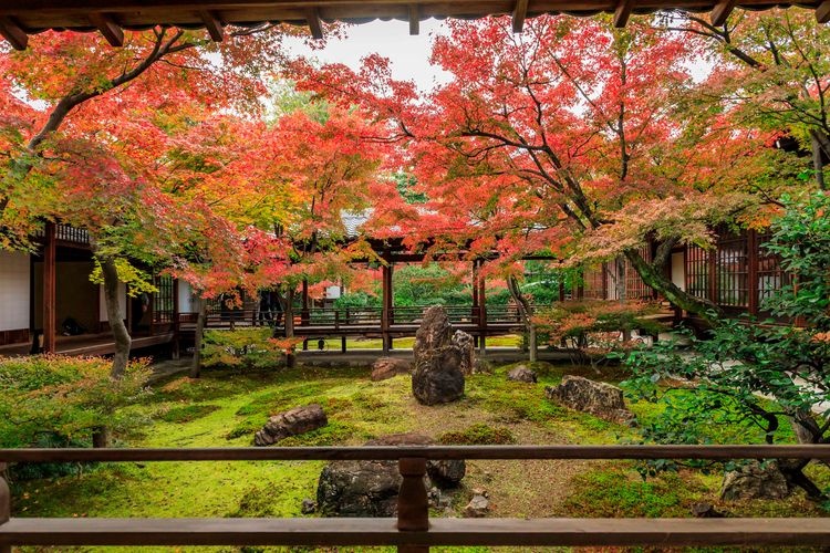 建仁寺 2