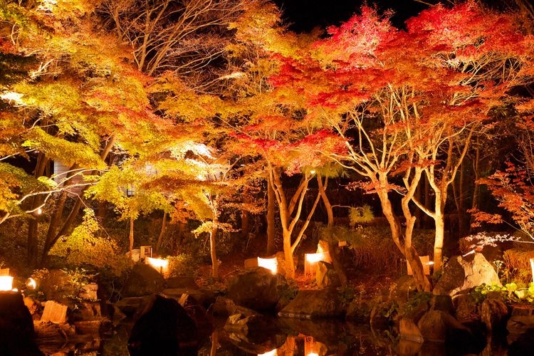 Oiso Shiroyama Park 2
