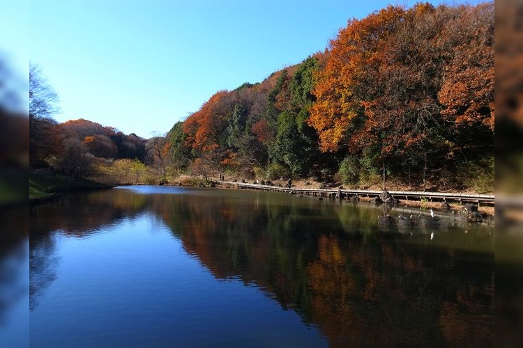 Kenritsu Shiki no Mori Park 2