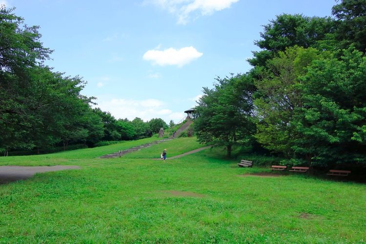 Kenritsu Shiki no Mori Park 3