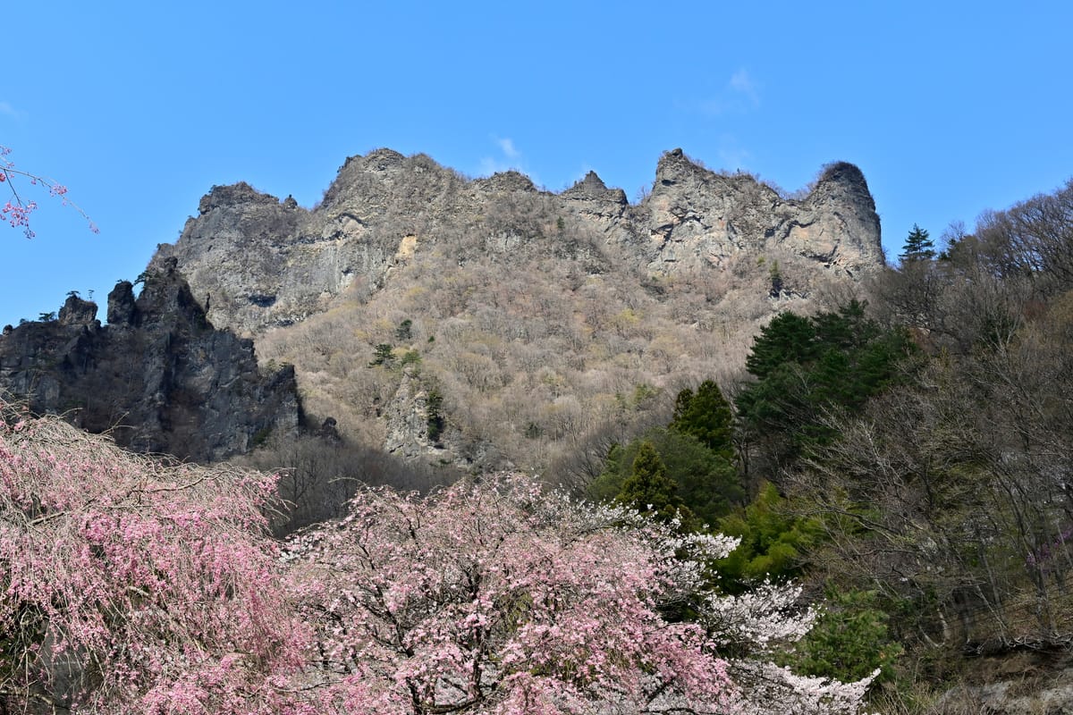 Kenritsu Shinrin Koen Myogisan Sakura no Sato