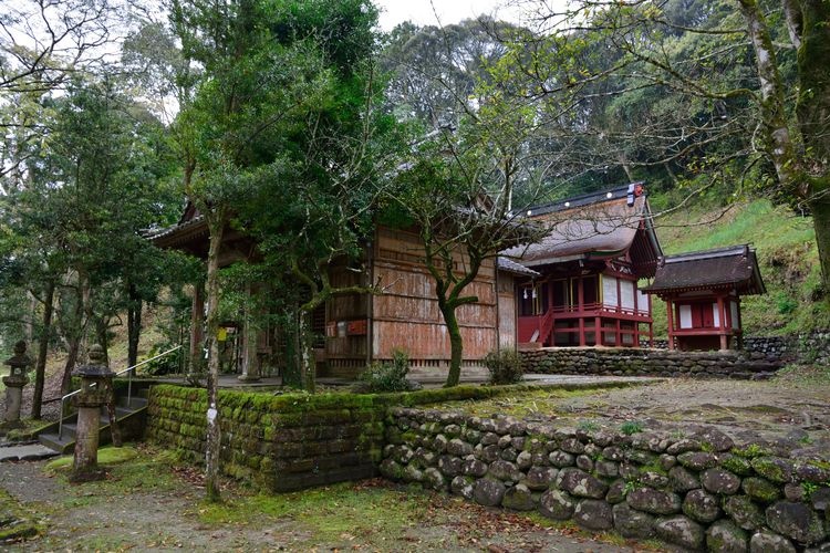 巨田神社 (Koda Shrine)