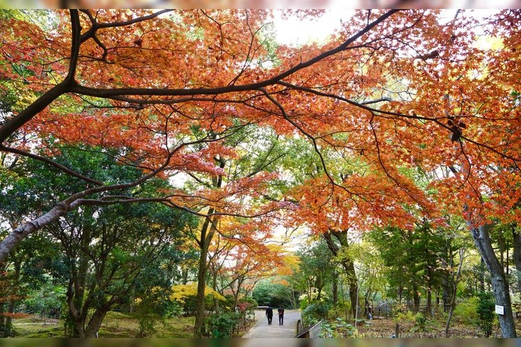 和歌山県立紀伊風土記の丘