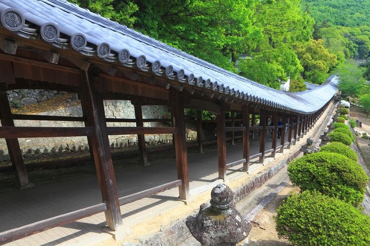 Kibitsu Jinja 2