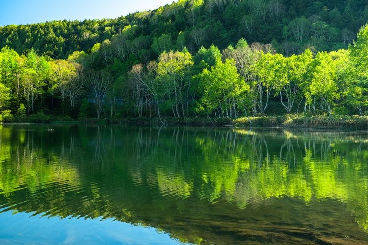 Kidoike Pond