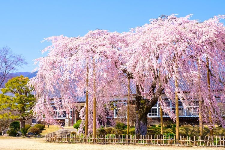 Kihara School (Former Yamamoto Junior High School)