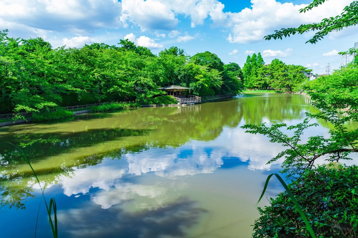 카메죠 공원 (Kamejo Park)