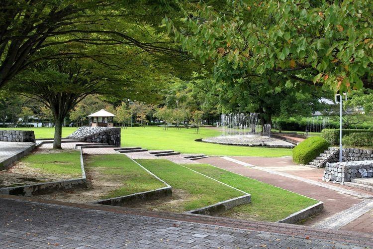 Parque Kiko