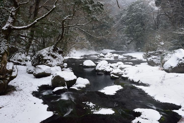 Valle de Kikuchi 4
