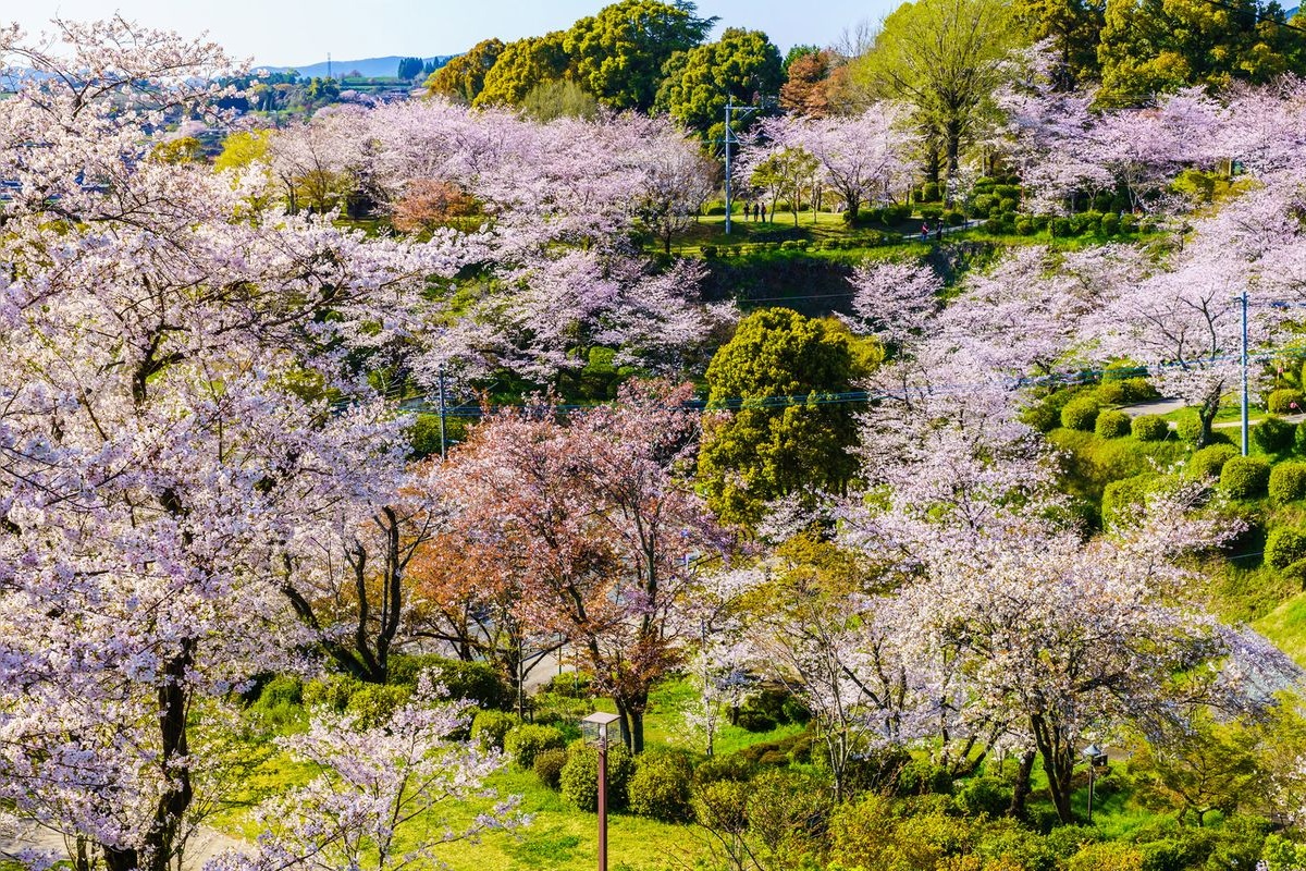 Kikuchi Park