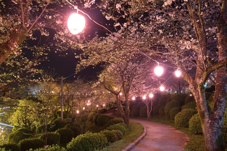 Kikuchi Park 3