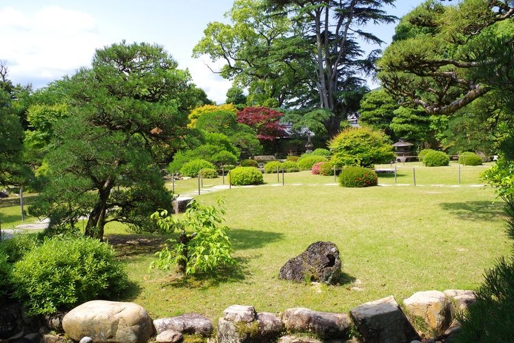 Kikuya Family Residence