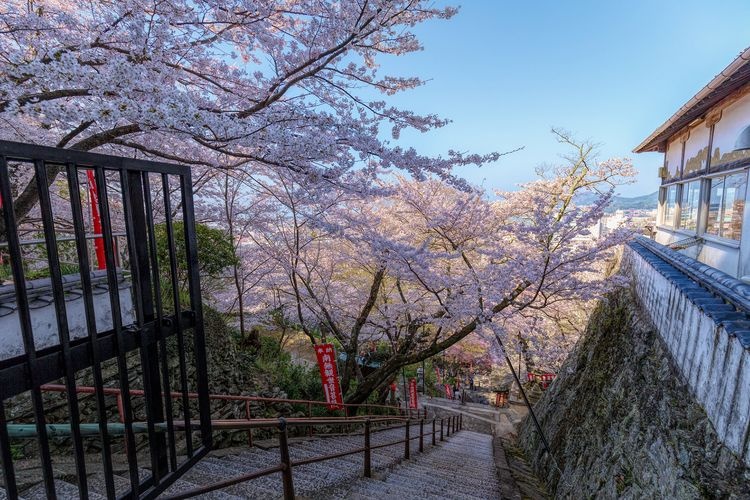 紀三井寺 (Kimii-dera)