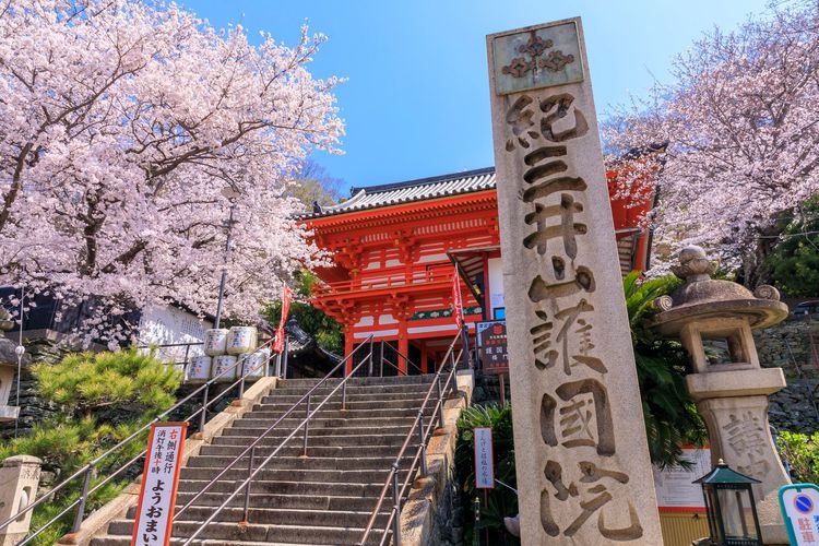 紀三井寺 (Kimii-dera) 4