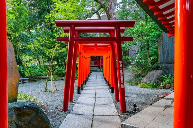 來宮神社 3