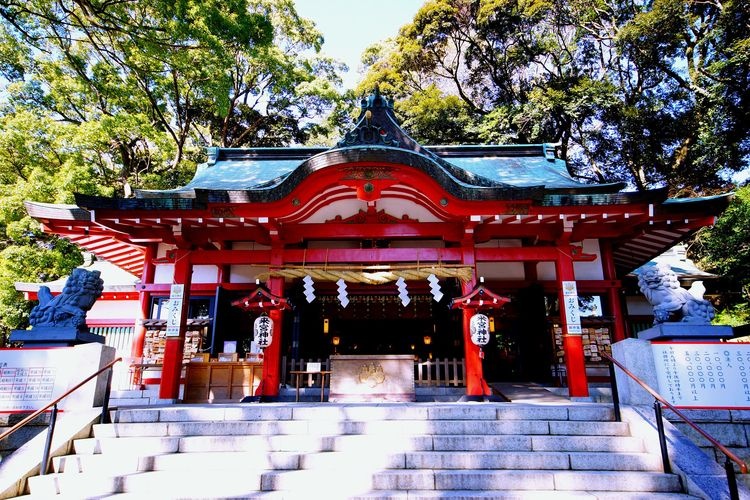 來宮神社 4