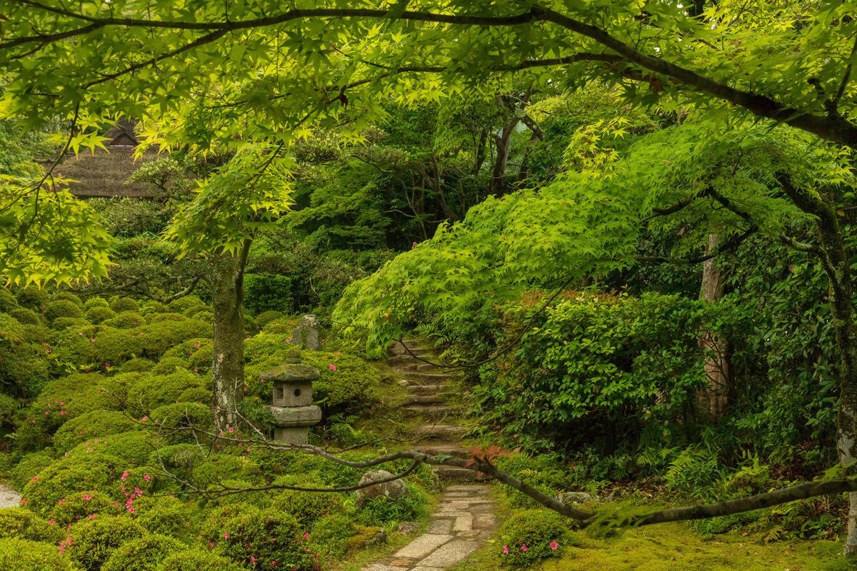 金福寺