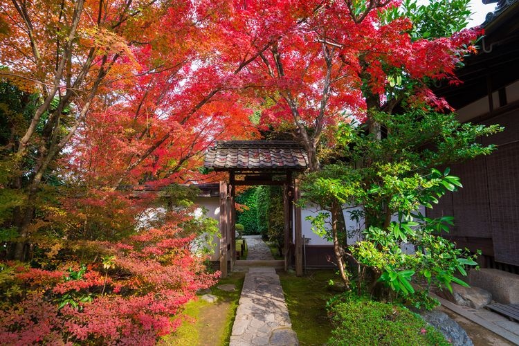 金福寺 2
