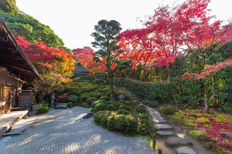 金福寺 4