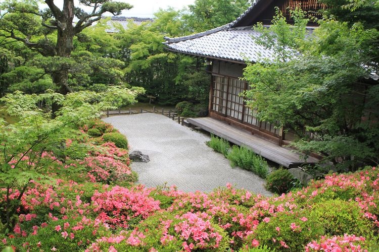 金福寺 6