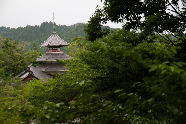 Kinmisan-ji Temple