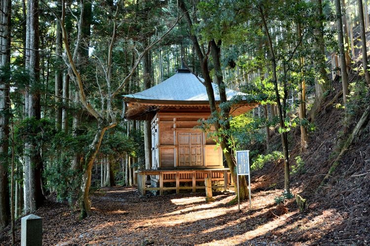 Kinmine Jinja 2