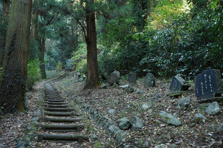 Kanasana Jinja Shrine