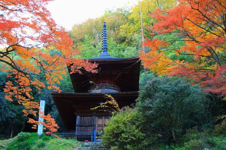 Kanasana Jinja Shrine 3