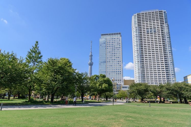 Kinshi Koen
