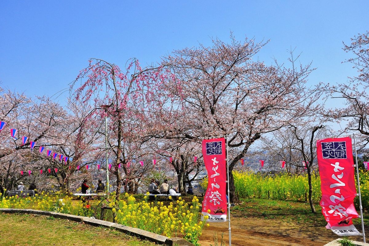 สวนสาธารณะคิโนซากายามะ (Kinagasayama Park)