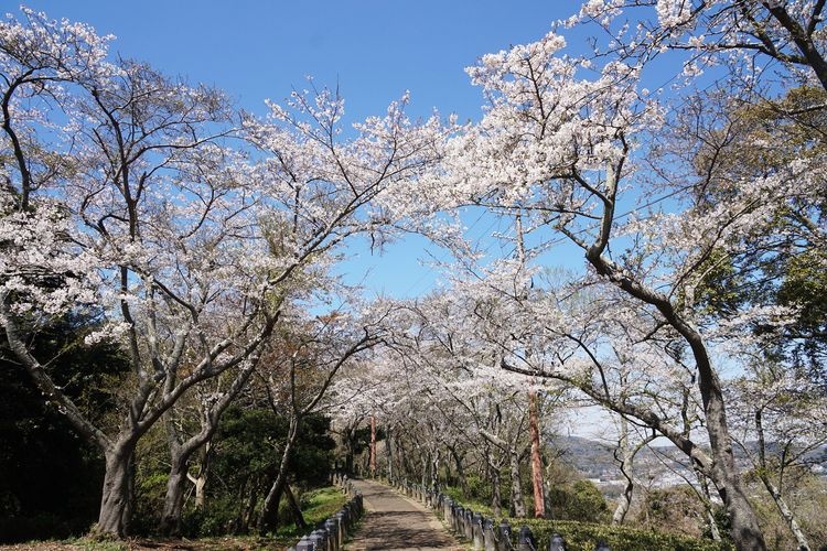 Kinugasa-yama Park