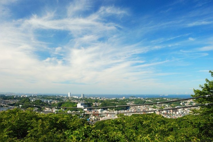 สวนสาธารณะคิโนซากายามะ (Kinagasayama Park) 2