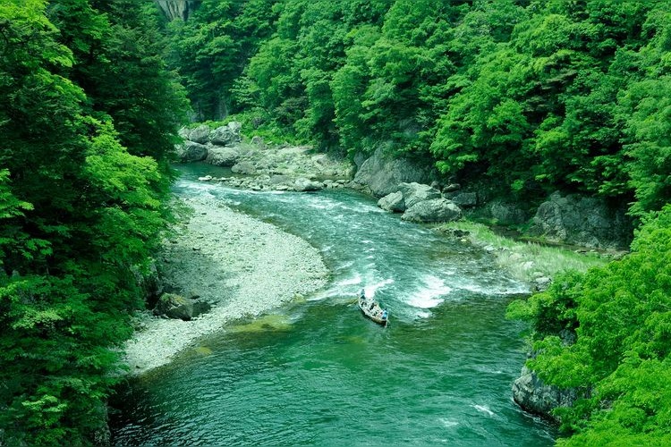 Kinugawa Line Kudari (Flussfahrt)