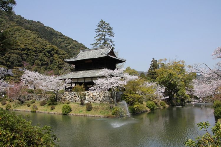 Kinunkaku 3