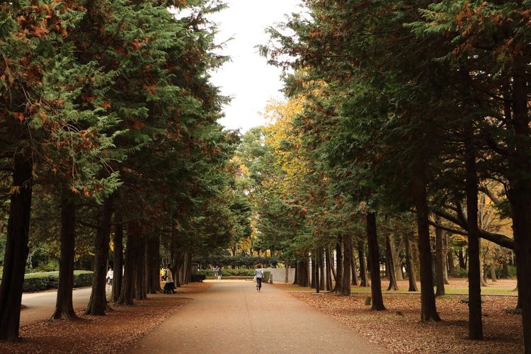 Parco Kinuta