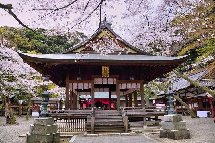 金崎宮
