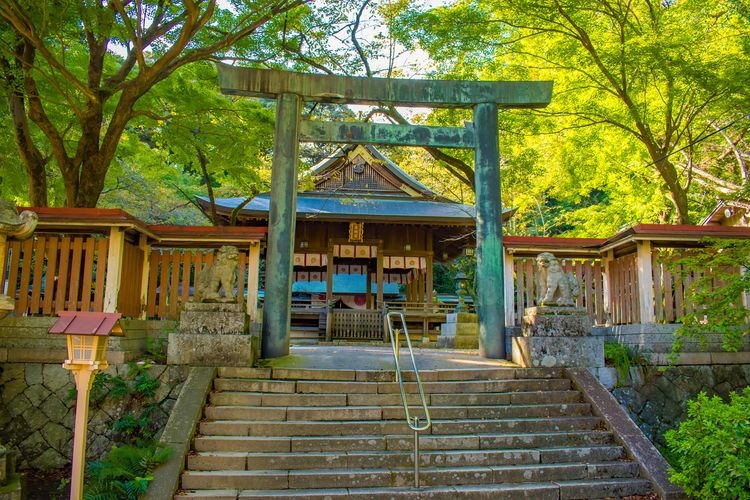 金崎宮 2