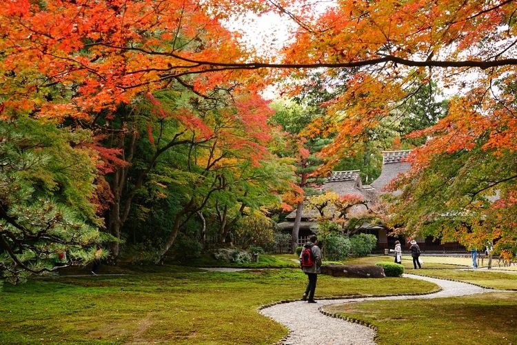 吉城園 3