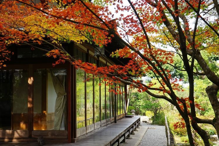 吉城園 4