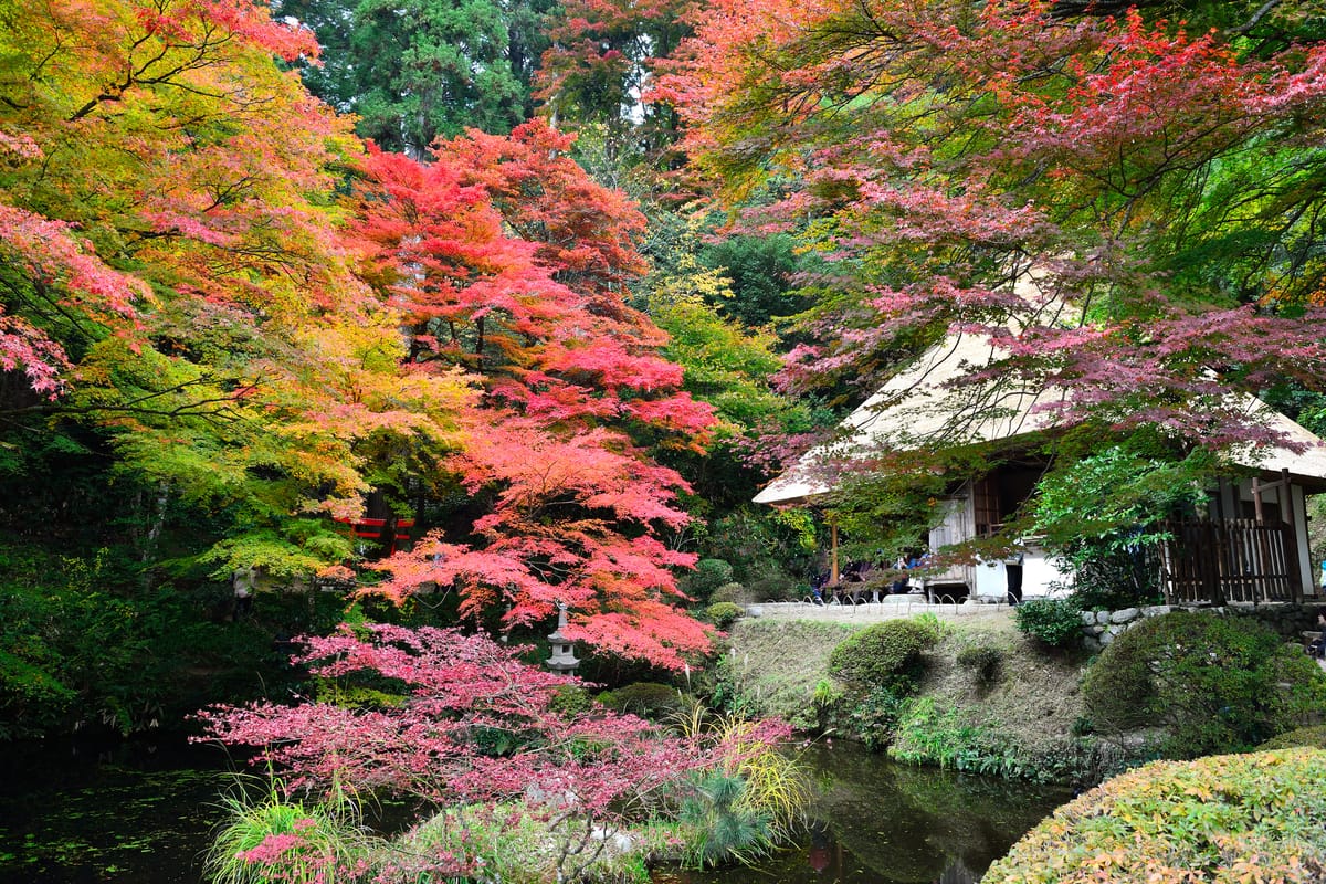 Yoshimizu-en