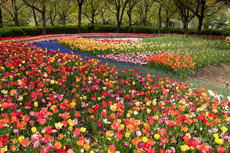 Kiso Sansen Park Center (National Kiso Sansen Park)