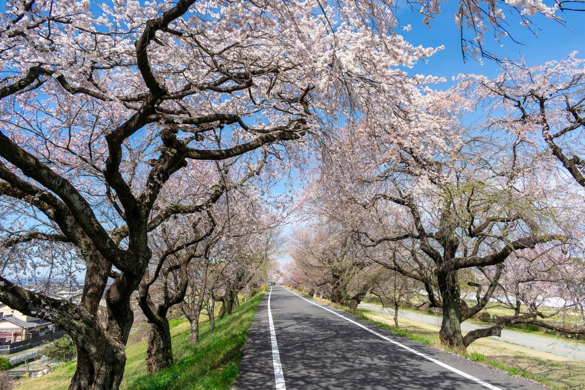 Rivière Kisogawa (Kisogawa Tei)