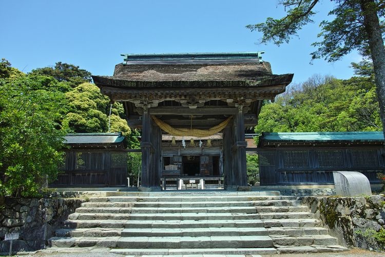 케타 대사 (Keta Taisha) 3