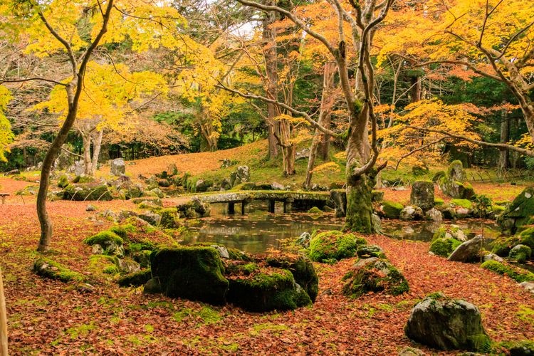 Jardin de l'ancien domaine du clan Kitabatake