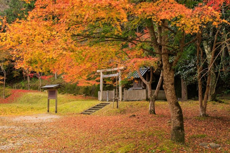 Jardin de l'ancien domaine du clan Kitabatake 2